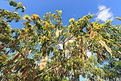 残忍而血腥！《刺客信条：影》新战斗片段