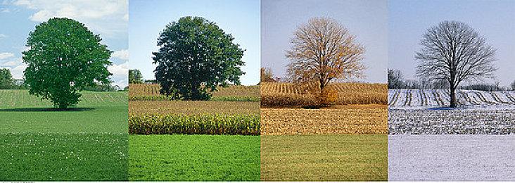 《红视2》冬季DLC包现已发售 最新宣传片欣赏